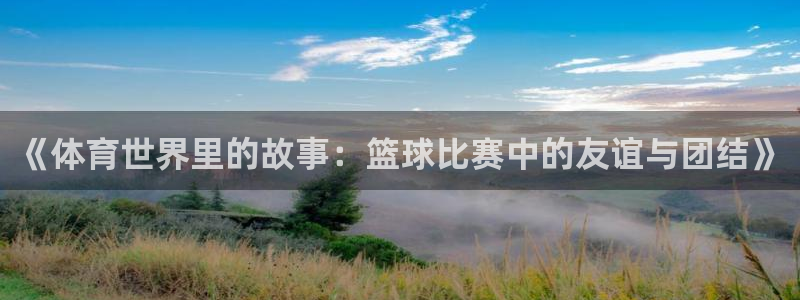 球客岛：《体育世界里的故事：篮球比赛中的友谊与团结》