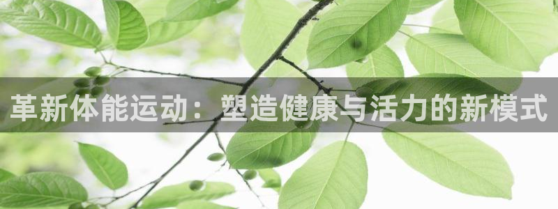 球客岛：革新体能运动：塑造健康与活力的新模式