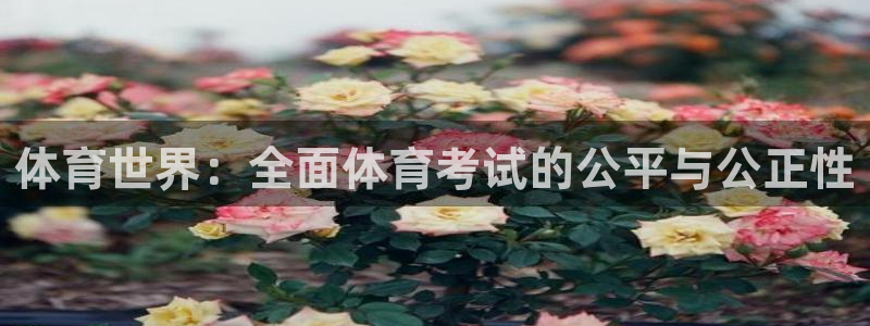 球客岛：体育世界：全面体育考试的公平与公正性
