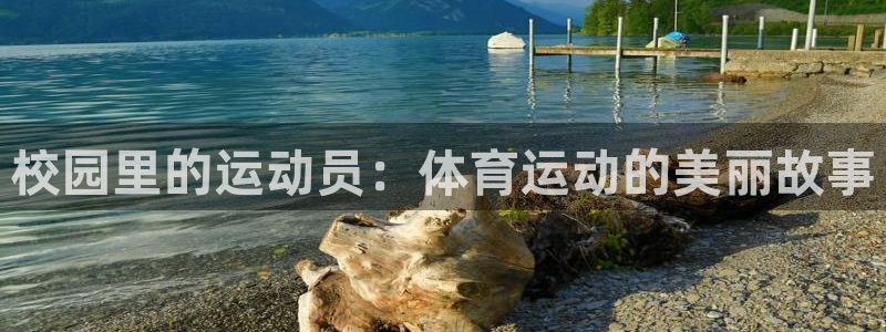 球客岛：校园里的运动员：体育运动的美丽故事
