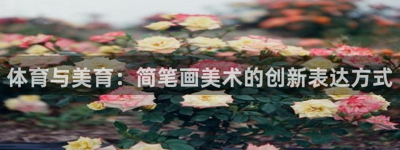 球客岛：体育与美育：简笔画美术的创新表达方式