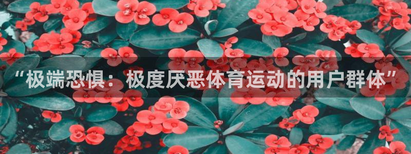 球客岛：“极端恐惧：极度厌恶体育运动的用户群体”